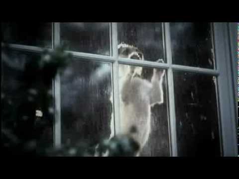 GAF Scary Experience Dog Commercial Trilogy
